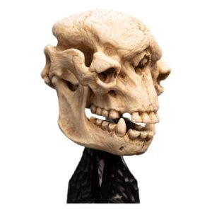 Estatua de Skull of a Cave Troll en El Señor de los Anillos por Weta Collectibles - Imagen 3