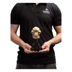 Estatua de Skull of a Cave Troll en El Señor de los Anillos por Weta Collectibles - Imagen 4
