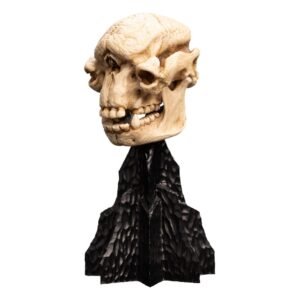 Estatua de Skull of a Cave Troll en El Señor de los Anillos por Weta Collectibles - Imagen 5