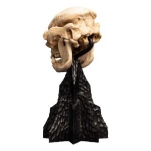 Estatua de Skull of a Cave Troll en El Señor de los Anillos por Weta Collectibles - Imagen 7