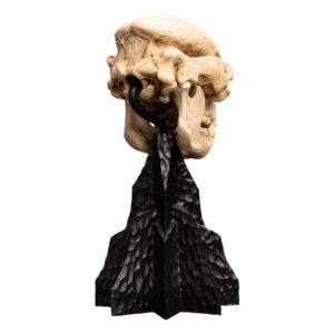 Estatua de Skull of a Cave Troll en El Señor de los Anillos por Weta Collectibles - Imagen 9