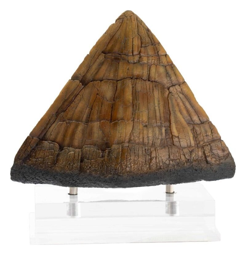 Réplica Prop de Triceratops Spike (Reproducción Limitada) en Jurassic Park por Elite Creature Collectibles